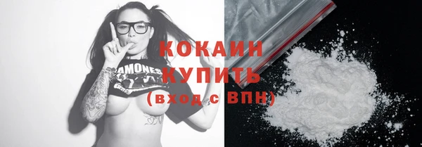 гашик Костерёво