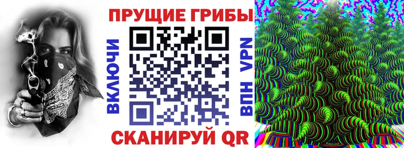 Купить  Муравленко  Псилоцибиновые грибы мицелий 